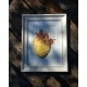 CUORE D'INDIA